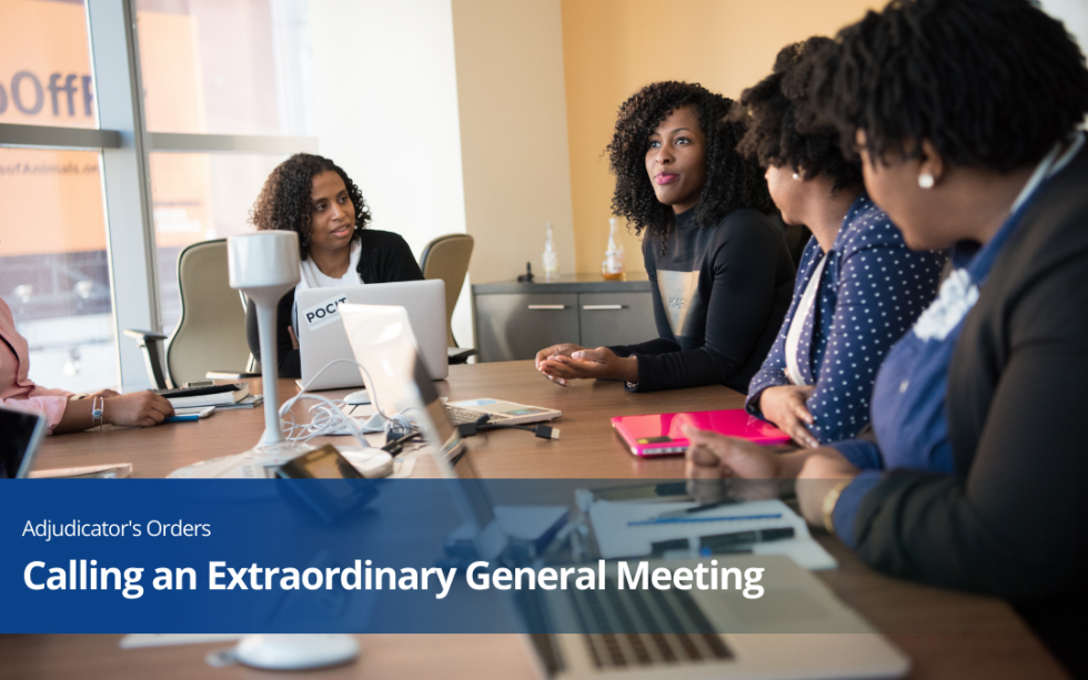 procedures-for-calling-an-extraordinary-general-meeting-hartley-s