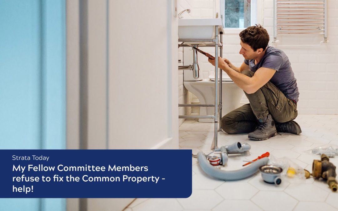 My Fellow Committee Members refuse to fix the Common Property – help!